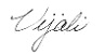 Sig
                                  Vijali