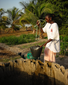 Senegal women collecting water 